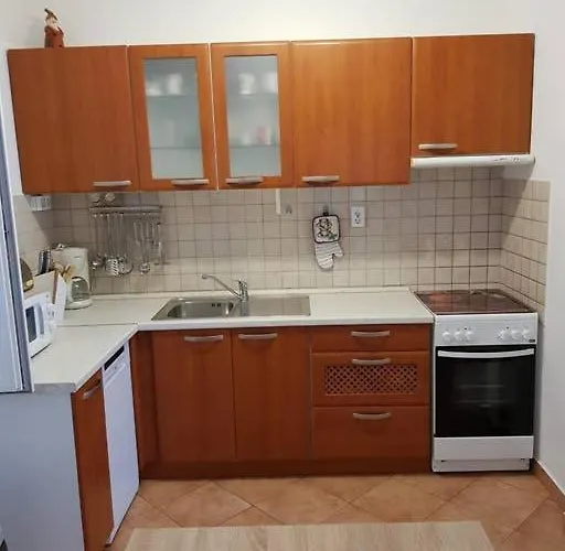 By The Sea Racisce, Korcula - 151 公寓 *